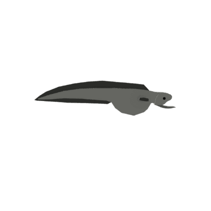 One-jaw Eel