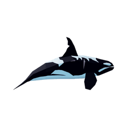 Orca