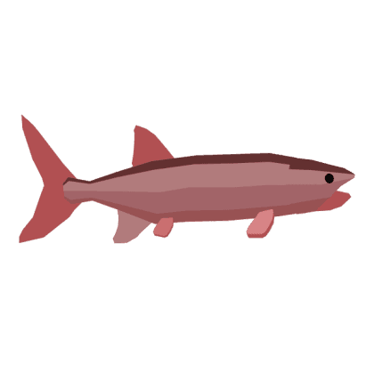 Oreochima