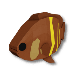 Oscar Cichlid