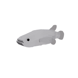 Ozark Cavefish