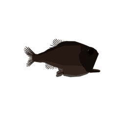 Pacific Hatchetfish