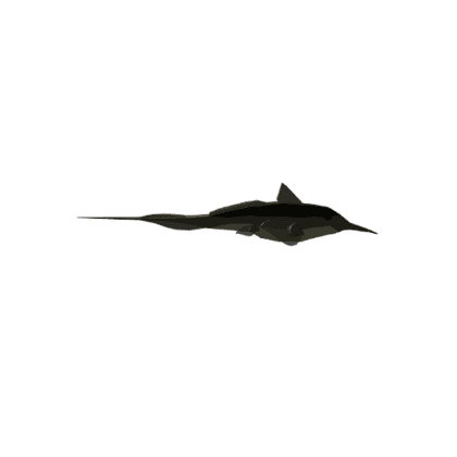 Pacific Longnose Chimaera