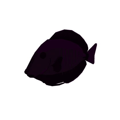 Pale Crevice Tang