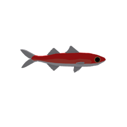 Papillated Redbait