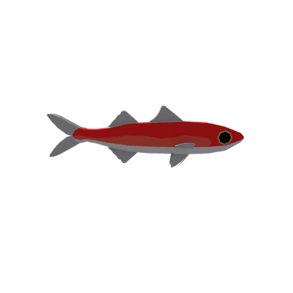 Papillated Redbait