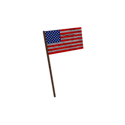 Patriotic Flag