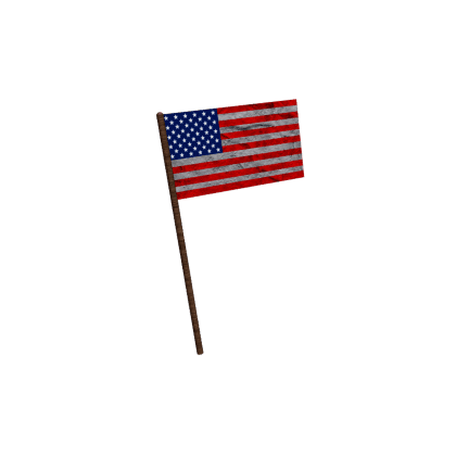Patriotic Flag