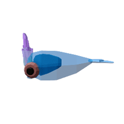 Peacock Squid