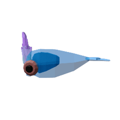 Peacock Squid