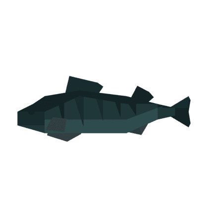Perch