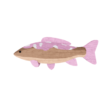 Petaldrift Koi