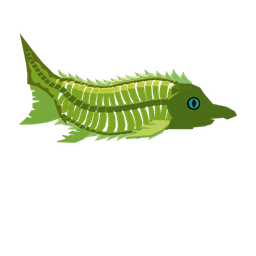 Phanerorhynchus