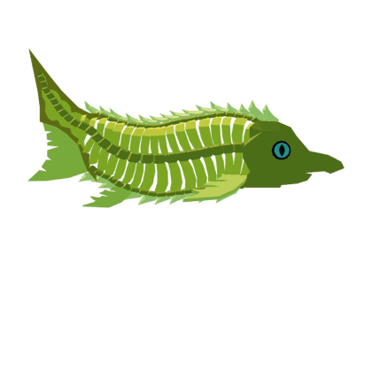 Phanerorhynchus