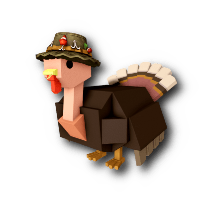 Pioneer Turkey