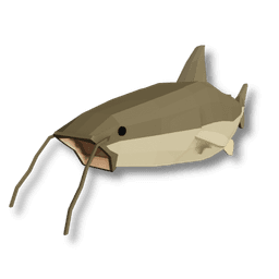 Piraiba