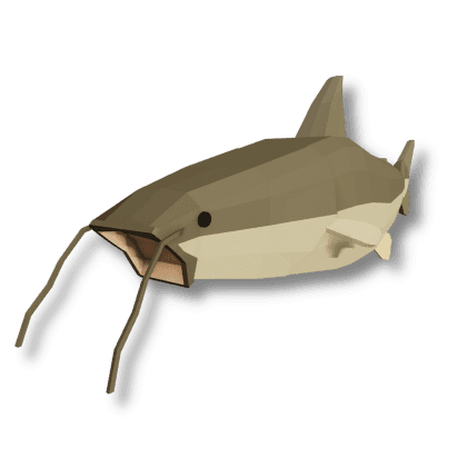 Piraiba