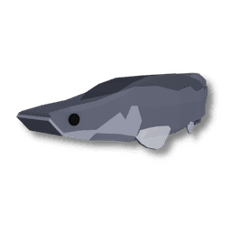 Pirarucu