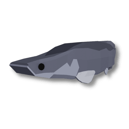 Pirarucu