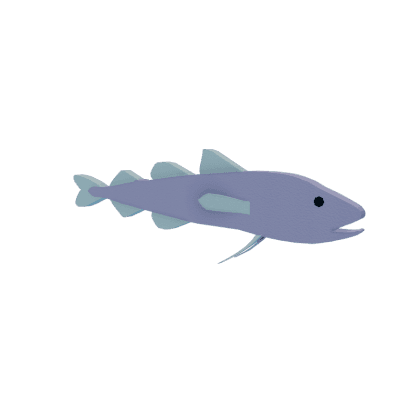 Polar Cod