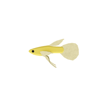 Pollen Guppy