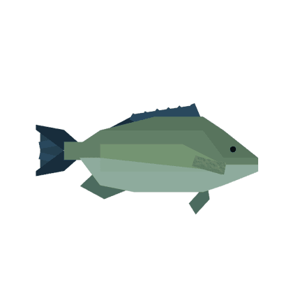 Porgy