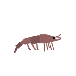 Prawn