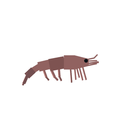 Prawn