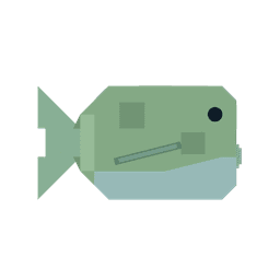 Pufferfish