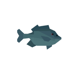 Pumpkinseed