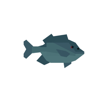 Pumpkinseed