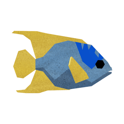Queen Angelfish