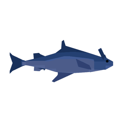 Rabbitfish