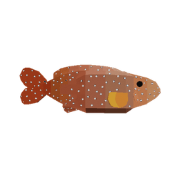 Rainbow Grouper