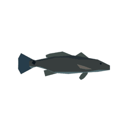 Red Drum