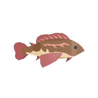 Reef Goby