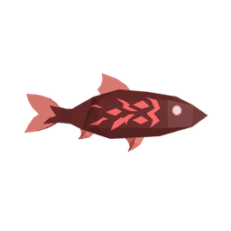 Reef Minnow