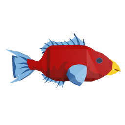 Reef Parrotfish