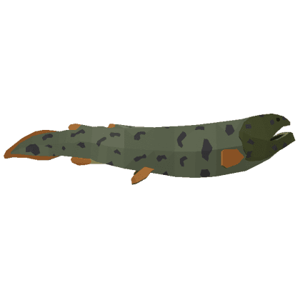 Rhizodus