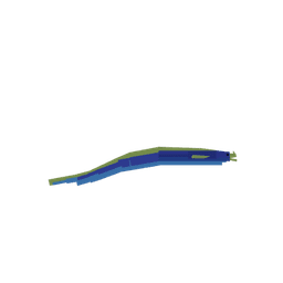 Ribbon Eel