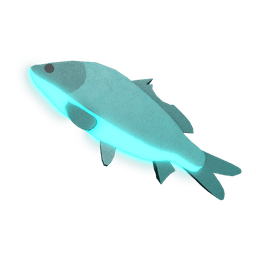 Ripplefin Carp
