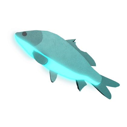 Ripplefin Carp