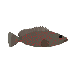 Rock Hind