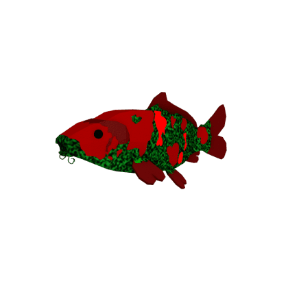 Roseveil Koi
