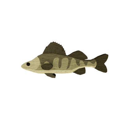 Rotwood Perch