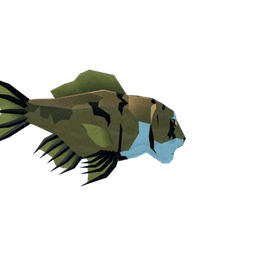 Royal Tigerfish