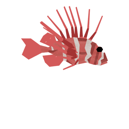 Ruby Lionfish