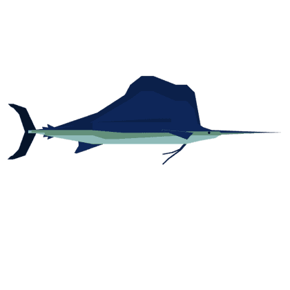 Sailfish