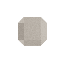 Sand Dollar