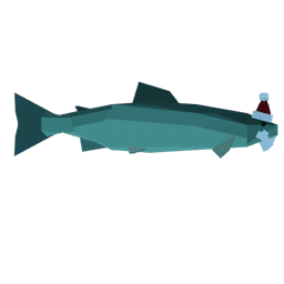 Santa Salmon
